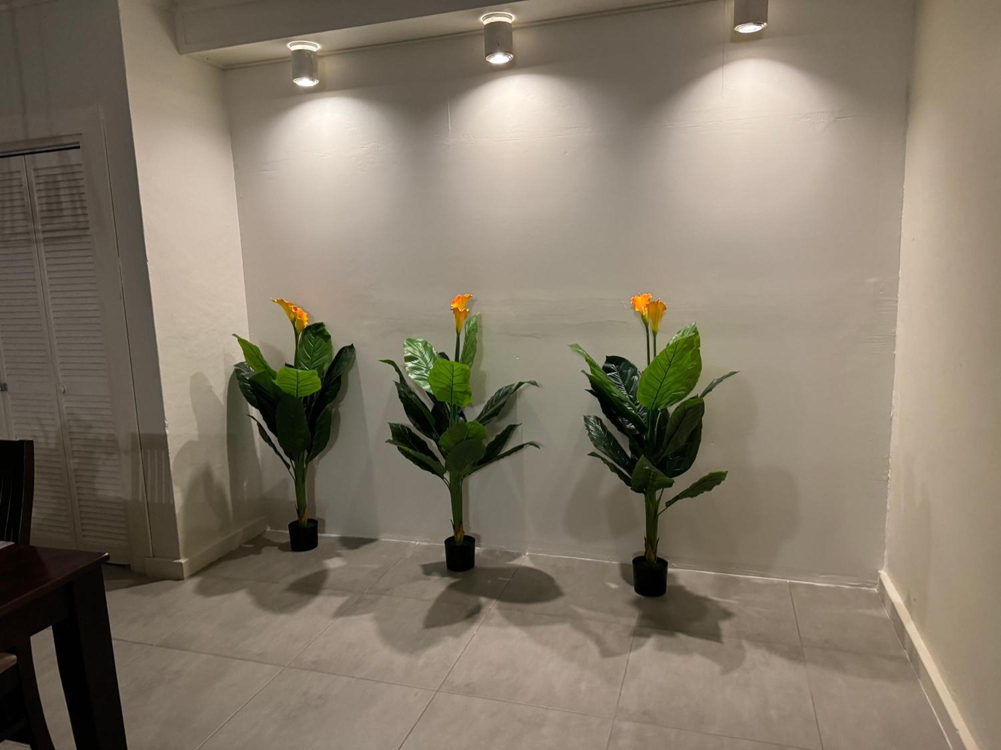 Villa Grand Jardin Jan Thiel المظهر الخارجي الصورة